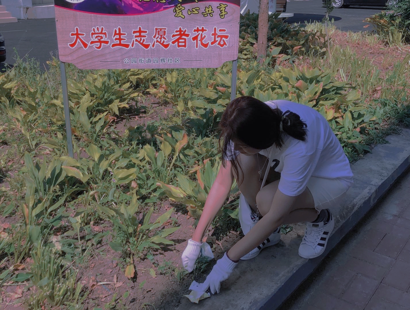 伟德betvlctor体育官网