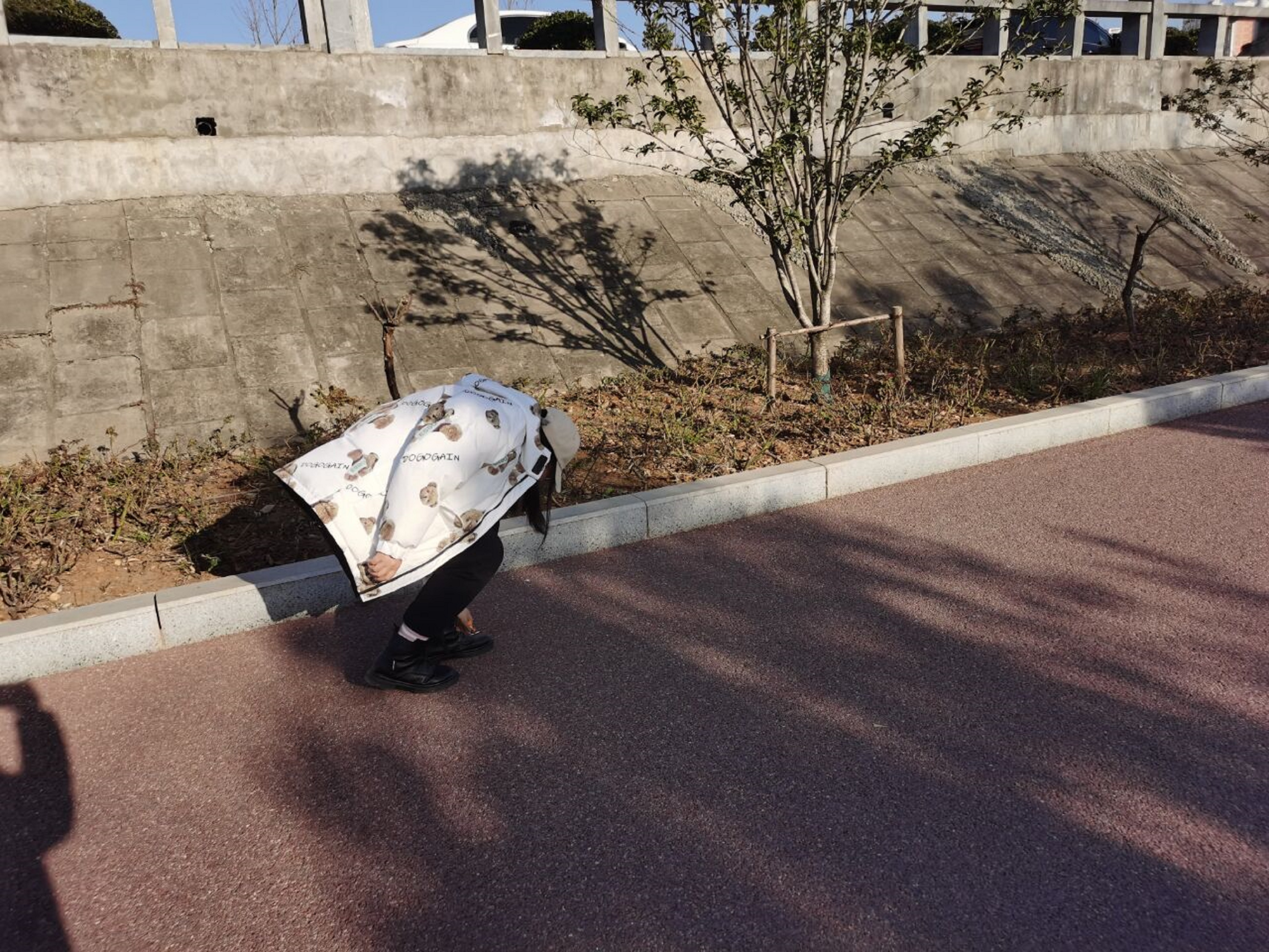 伟德betvlctor体育官网