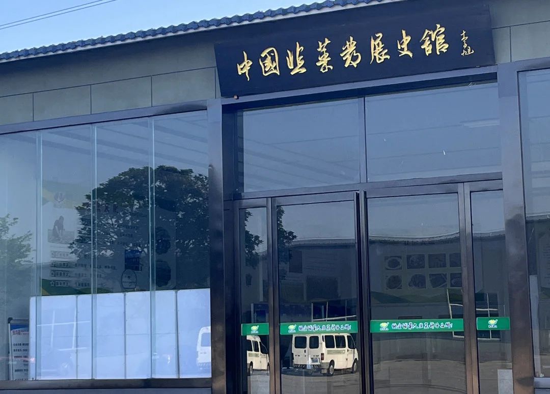 伟德betvlctor体育官网